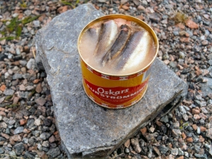 Surströmming1